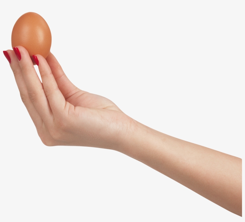 Hand Holding Egg, transparent png download