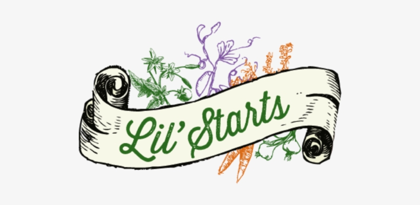Lil Starts Logo - Portable Network Graphics, transparent png download