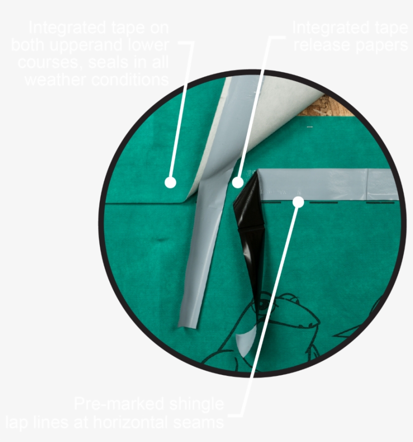 Pdf - Membrane, transparent png download