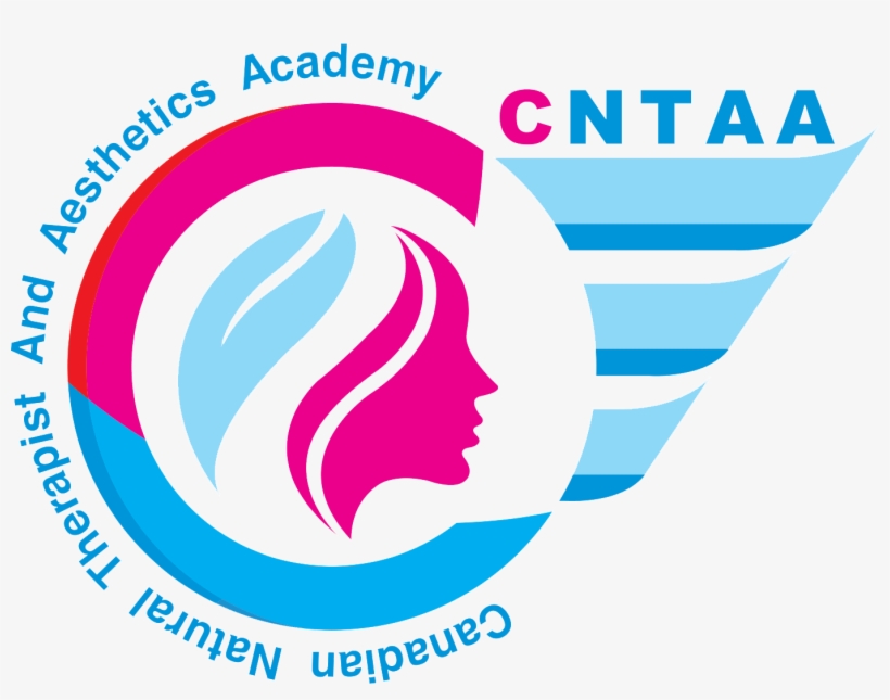 Your Beauty Career Starts Here - Graphic Design, transparent png download