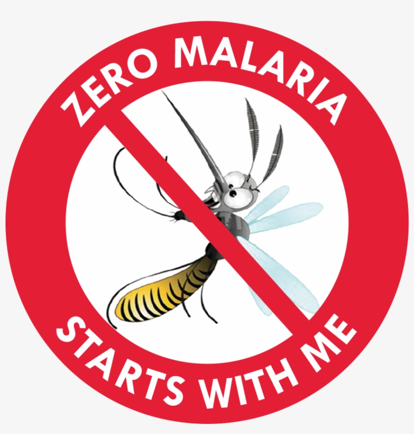 English Image/png 247 Kb - Everglades Alligator Farm, transparent png download