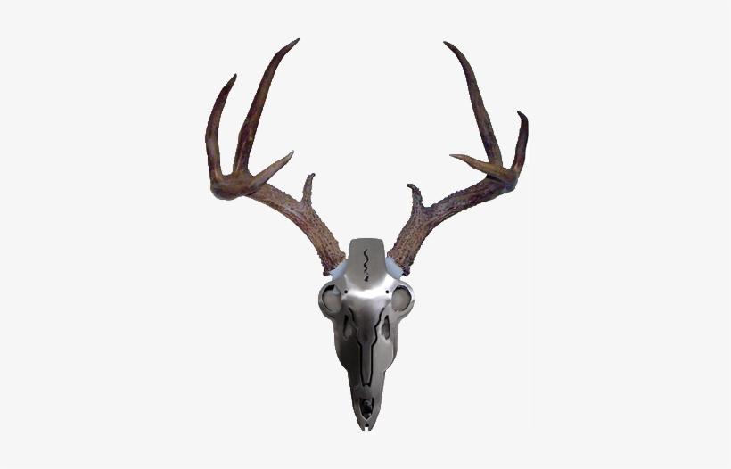 Ibam2 The Iron Buck Antler Mount - Stainless Steel Deer Antler Mount, transparent png download