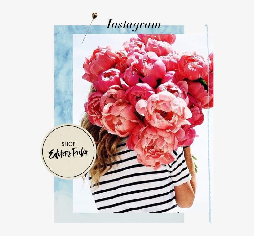 Our Collections - Marinière Flowers, transparent png download