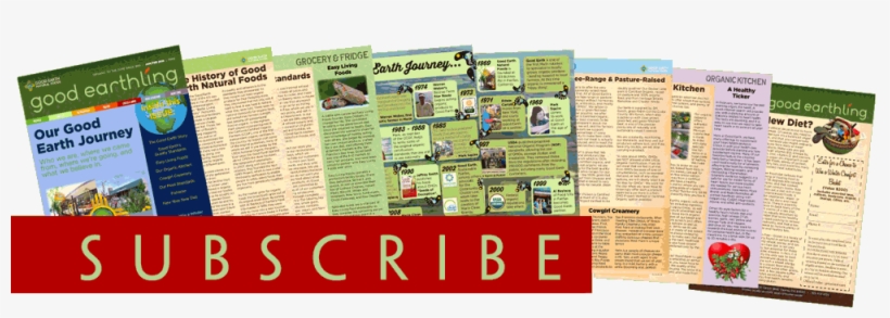 Subscribe Now - Newspaper, transparent png download