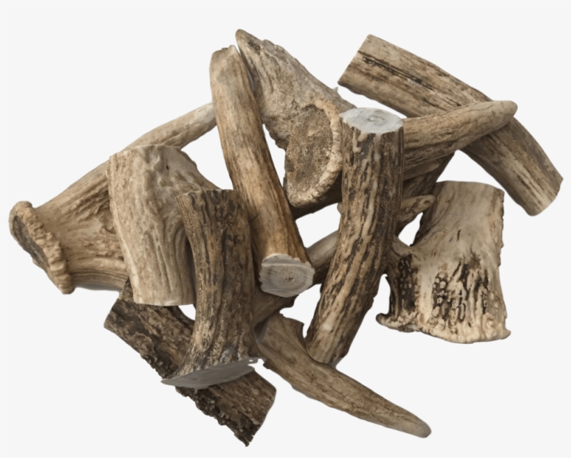 Deer Antlers Dog Treats Various Sizes - Dog, transparent png download