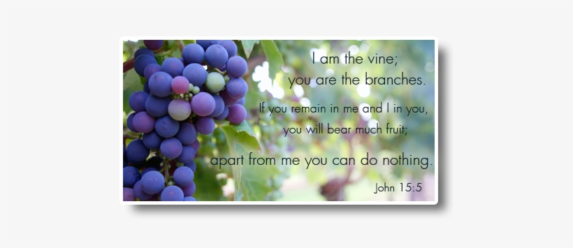 Grapevine - Drouin Baptist Church, transparent png download