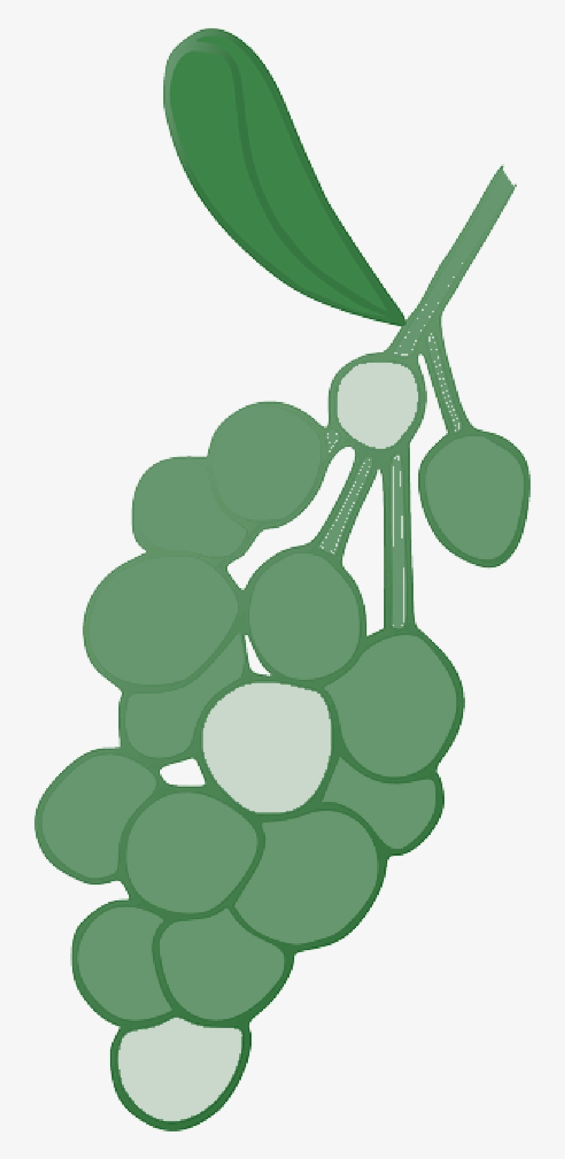 Mb Image/png - Grape, transparent png download