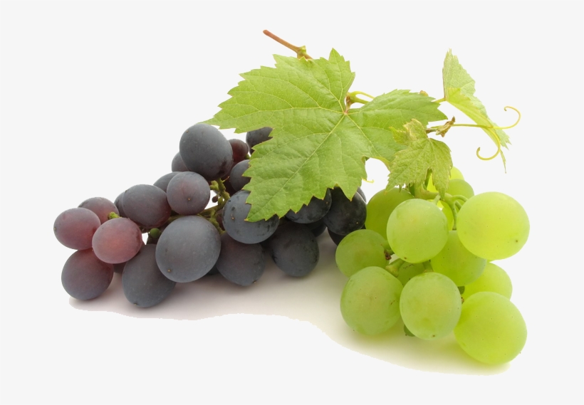 Grape Png File - Best Pure Grape Seed Oil| (240ml), transparent png download