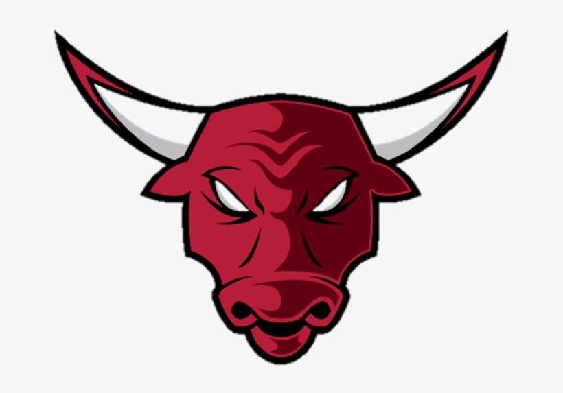 Help Needed With Kits And Badges - Branson Bulls Baseball, transparent png download