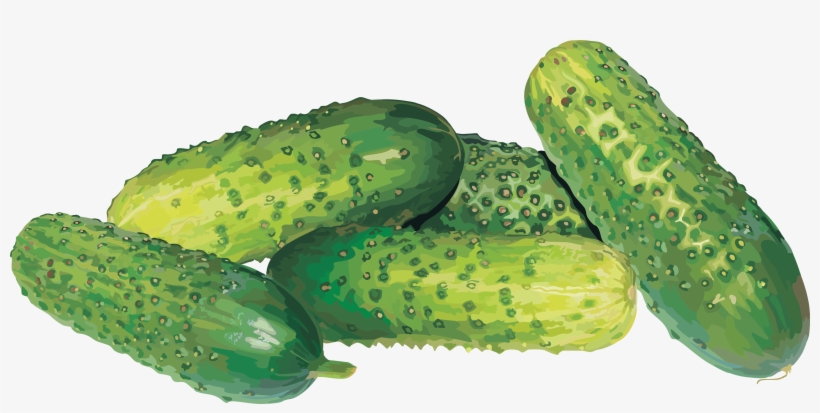 Vector Black And White Library Pickle Free On Dumielauxepices - Cucumbers Png, transparent png download