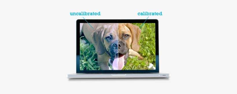 Calibrating Your Scanner, Monitor, And Printer - Calibrating Monitor Before After, transparent png download