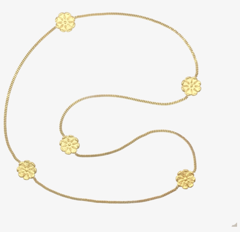 Img 0001, transparent png download