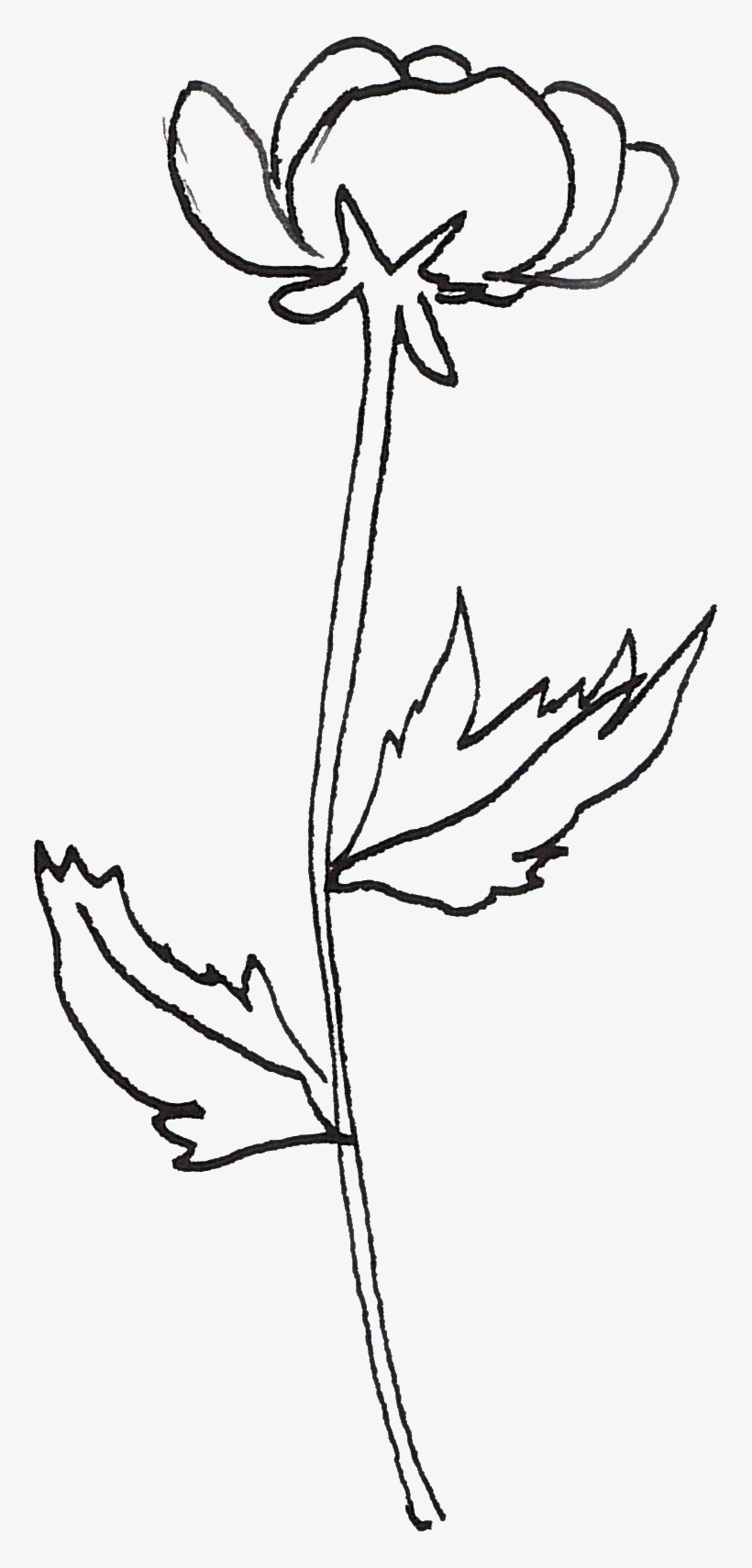 0℃素材157 - Line Art, transparent png download