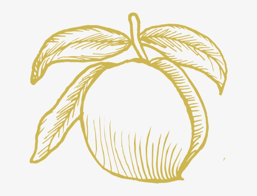 Png Royalty Free Stock Peaches Drawing Ink - Illustration, transparent png download