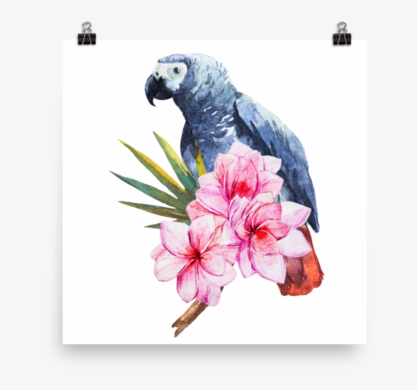 Orange Venue Papağan Ve Çiçek Kırlent Kılıfı - 45x45, transparent png download