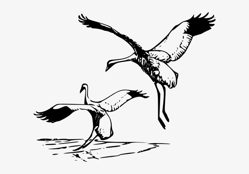 Free Vector Whooping Crane Clip Art - Sandhill Crane Clip Art, transparent png download