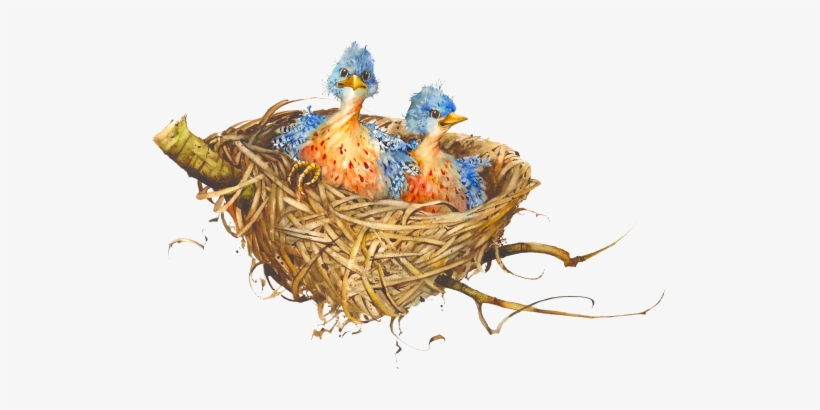 Nest - Bird Nest Png, transparent png download