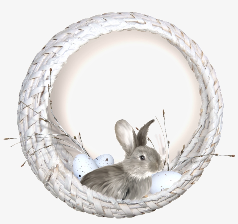 A Little Rabbit In The Nest Png Transparent - Domestic Rabbit, transparent png download