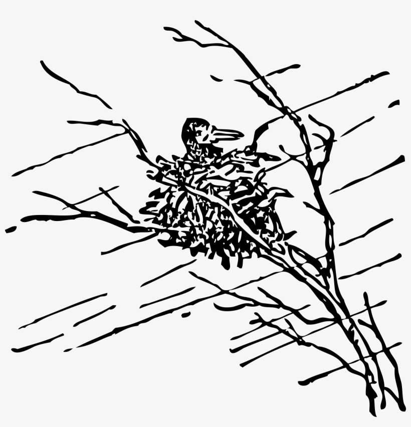 Bird In Nest Svg Clip Arts 600 X 594 Px, transparent png download