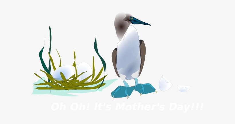 Sea Bird With Nest Svg Clip Arts 600 X 352 Px, transparent png download