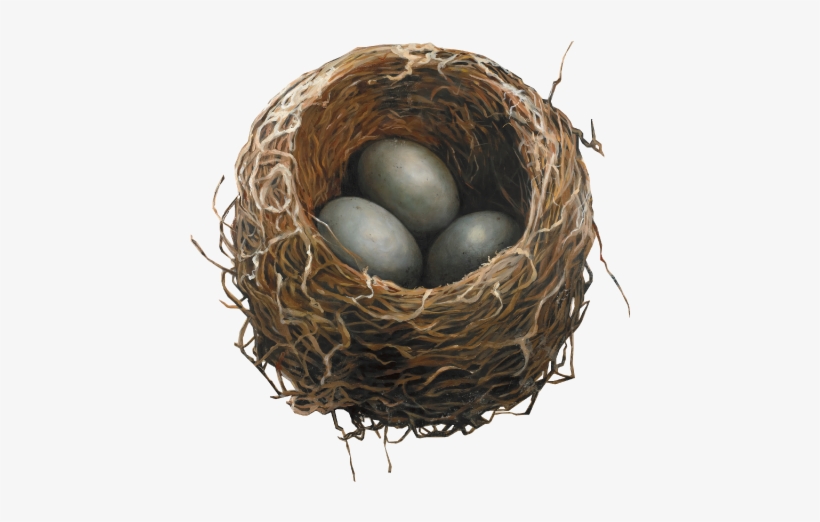 Home-nest - Nest, transparent png download