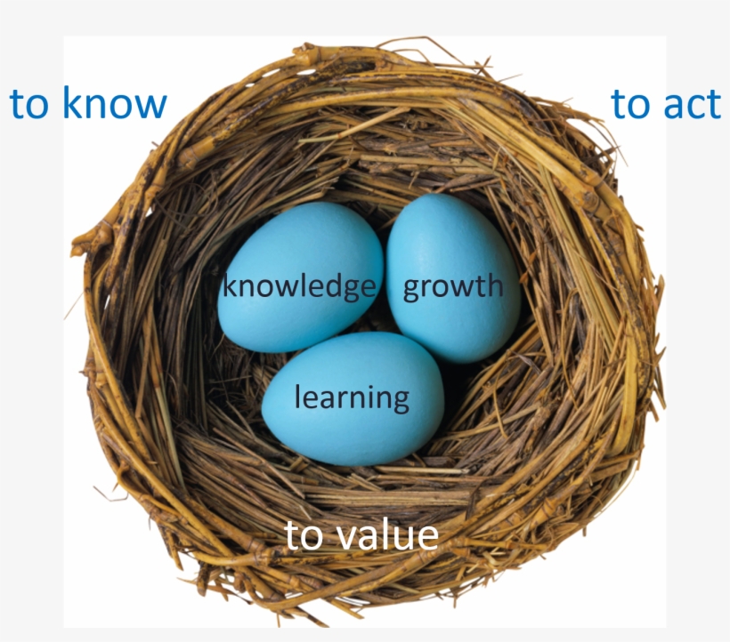 Sotl Summary Image Nest - Numbers From Nature, transparent png download