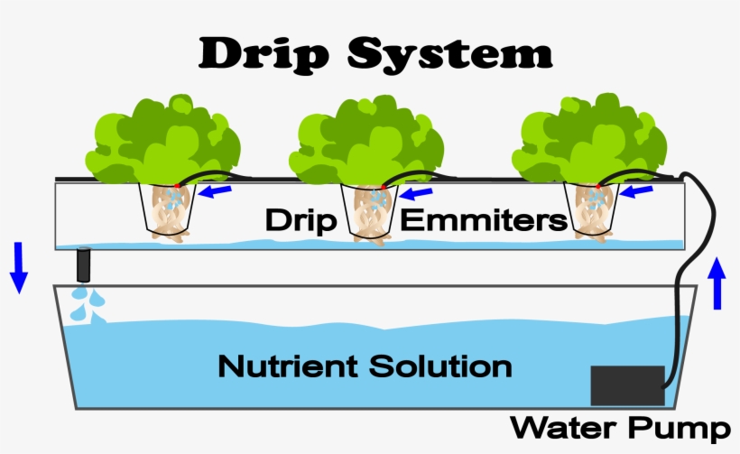 Drip Hydroponic System, transparent png download