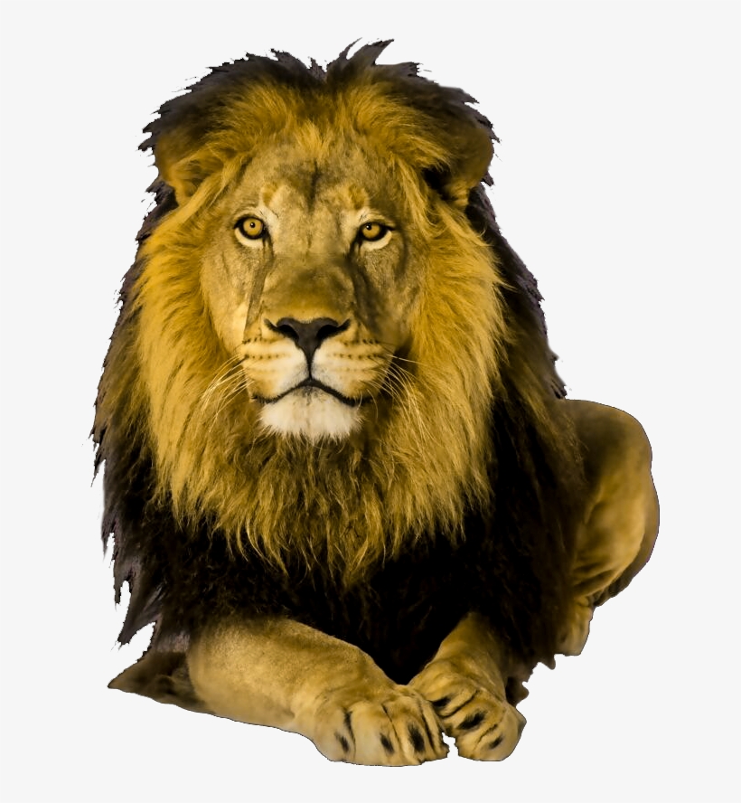 Animals Clipart Png,cartoon Animals Png,cute Animal - Netley Abbey, transparent png download