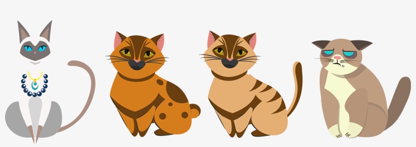 Domestic Short-haired Cat, transparent png download