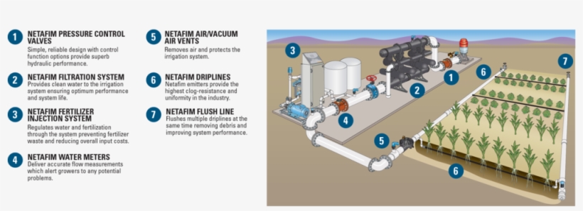 What Are The Main Components Of A Drip Irrigation System - Assembly Line, transparent png download