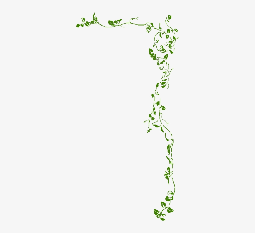 Leaf Border Black And White PNG Image Transparent PNG Free Download