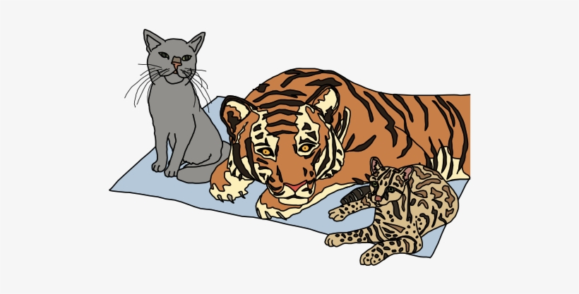 An Introduction For New Programmers Cat - Javascript For Cats PNG Image ...