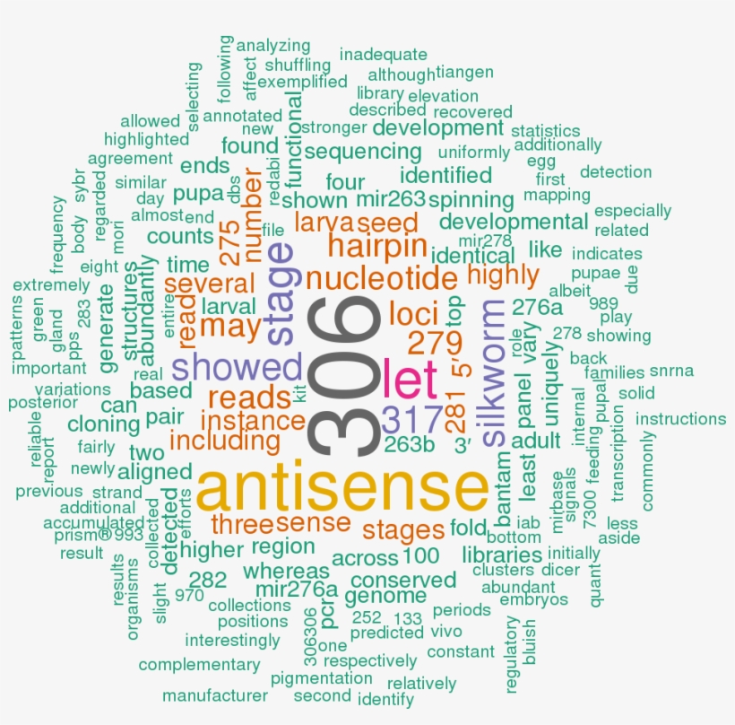 Stem Loop Sequence Bmo Mir 263a, transparent png download