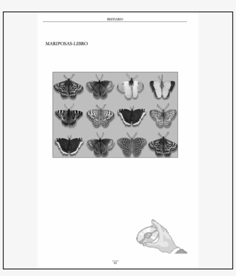 Como Belén Gache Misma Lo Establece, El Libro Del Fin, transparent png download