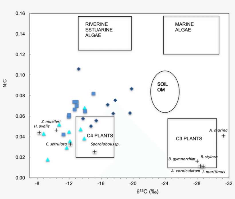Plot Of N, transparent png download