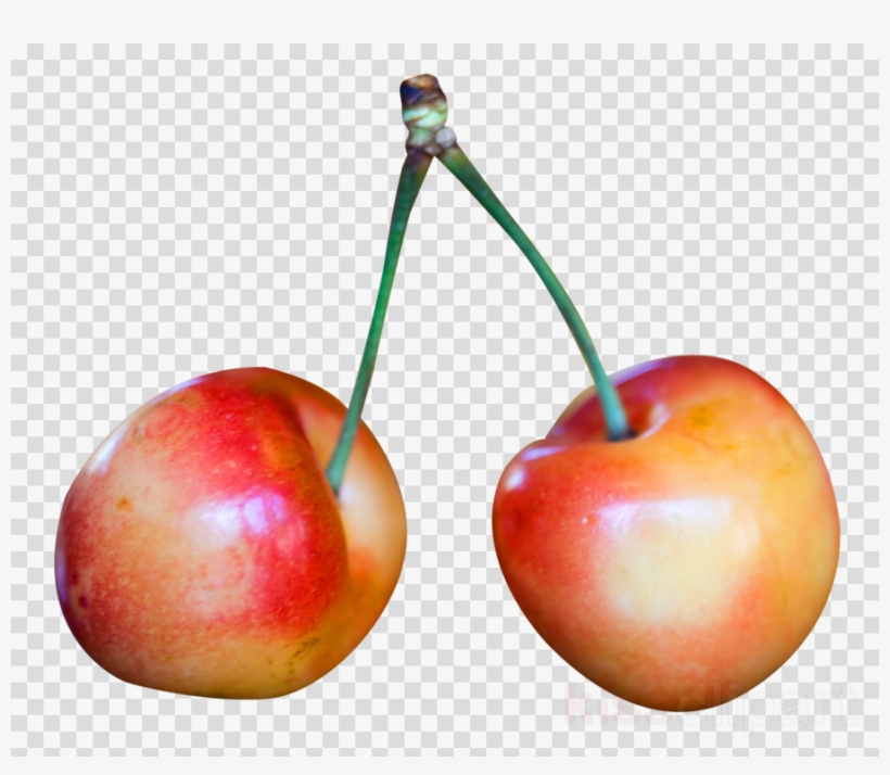Rainier Cherry Png Clipart Cherry Pie Rainier Cherry, transparent png download