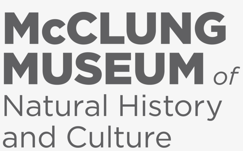 Mcclung Museum Of Natural History And Culture The University, transparent png download
