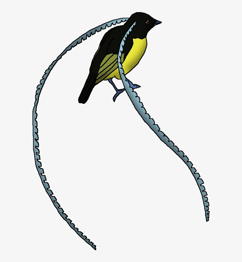 King Of Saxony Bird Of Paradise, transparent png download