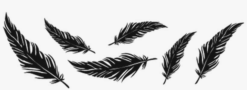 Png Overlay Edit Tumblr Plumas Feathers, transparent png download