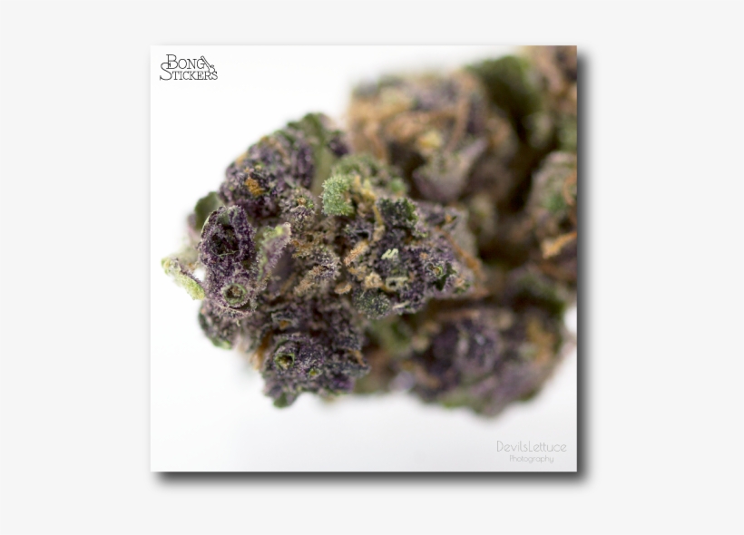 Dank Bud Weed Sticker, transparent png download