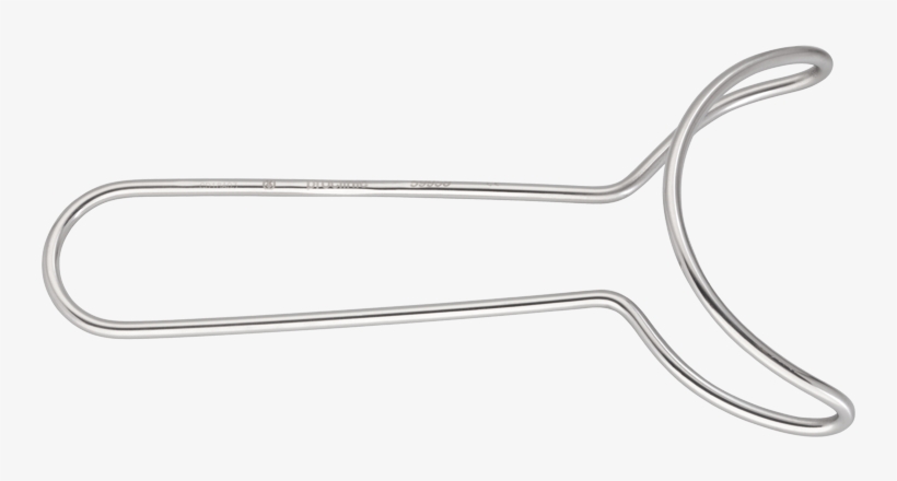 Separador De Branemarck, transparent png download