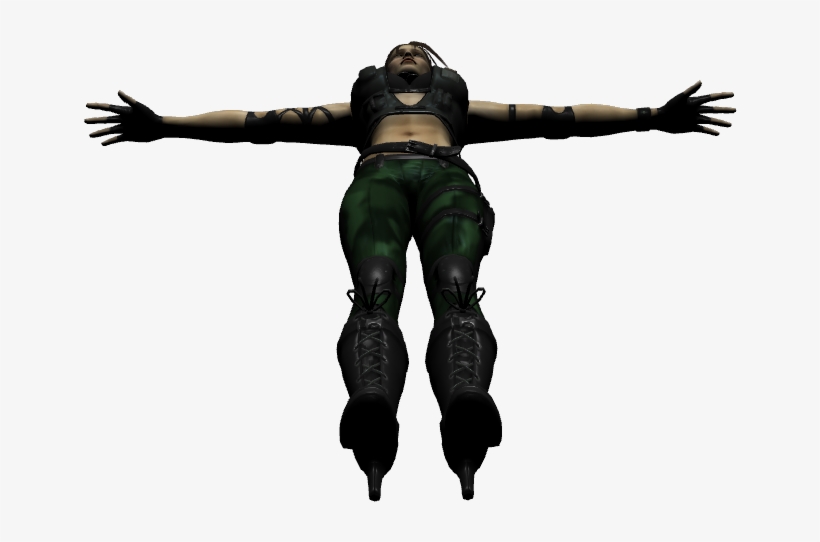 Mortal Kombat Health Bar Png, transparent png download