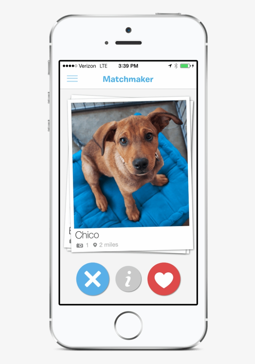 Social Media App Buffer Also Recently Released A “tinder - Tinder For Dogs, transparent png download