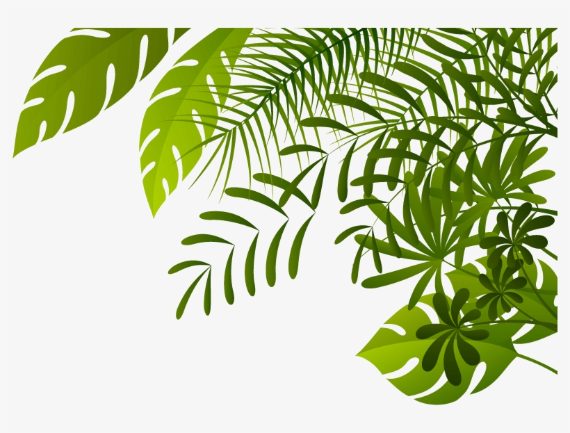 Jungle Png Image - Jungle Png, transparent png download