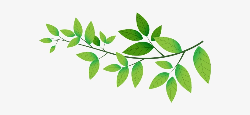 No Products In The Basket - Word Became Flesh: Studies In The Gospel Of John, transparent png download