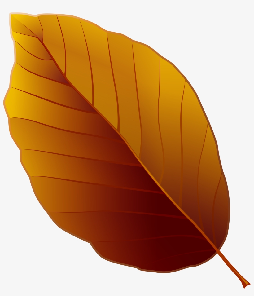 Autumn Leaf Png Clipart Image High - Brown Leaf Clip Art Png, transparent png download