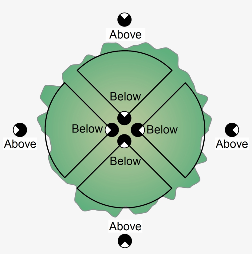 If A Tree Is Asymmetric, Then The Path Lengths Through - Diagram, transparent png download