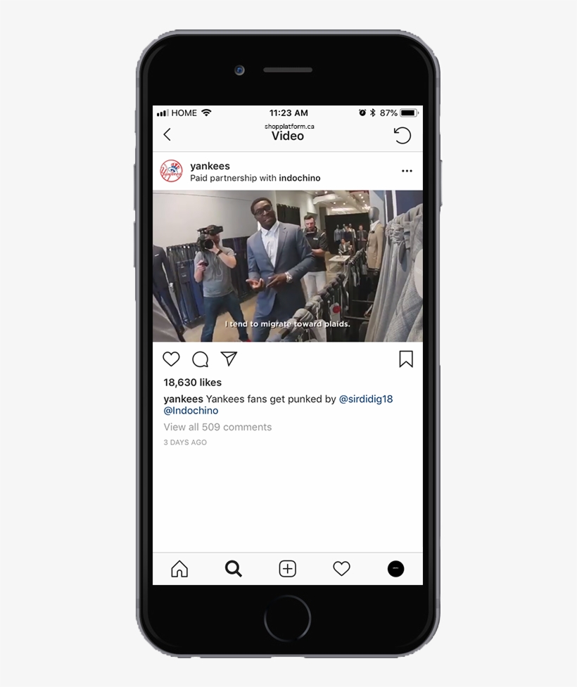 Yankees - Daniel Wellington, transparent png download