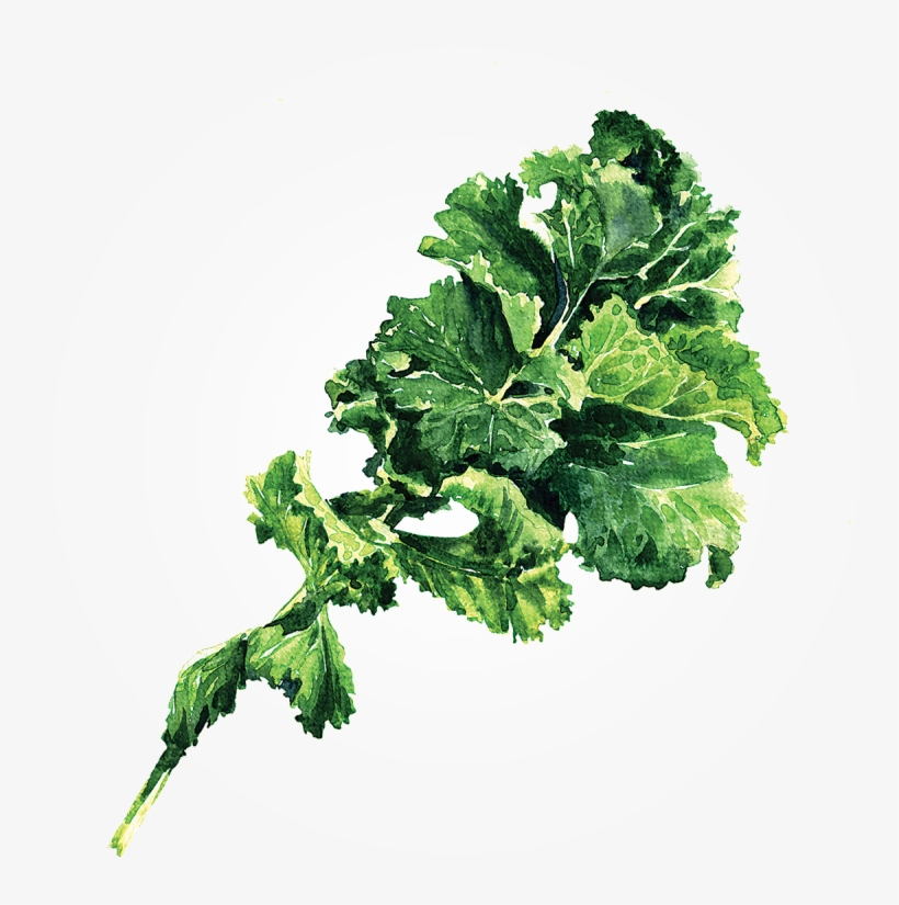 Where's The Kale - Earthshine Kale Chips, 25g, transparent png download