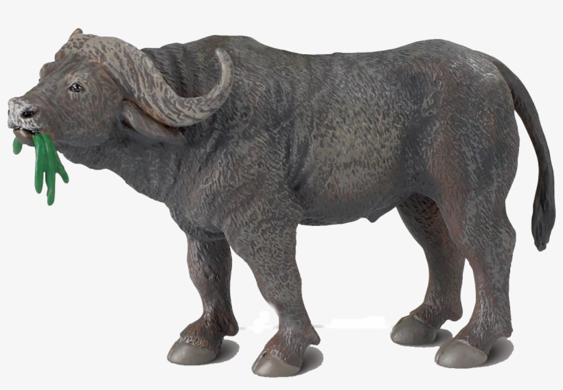 African Buffalo Png Images Transparent Background - Safari 222729 Cape Buffalo Animal Figure, transparent png download